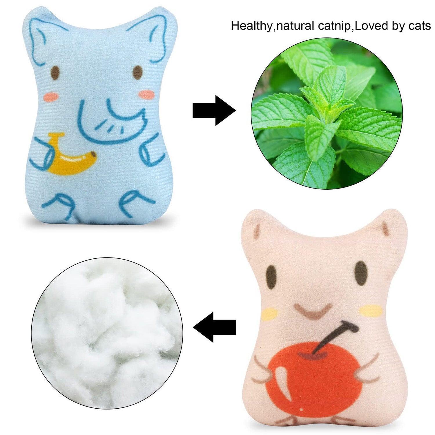 5pcs-catnip-toy-bite-resistant-chew-toys-for-cat-italkpet-13.jpg