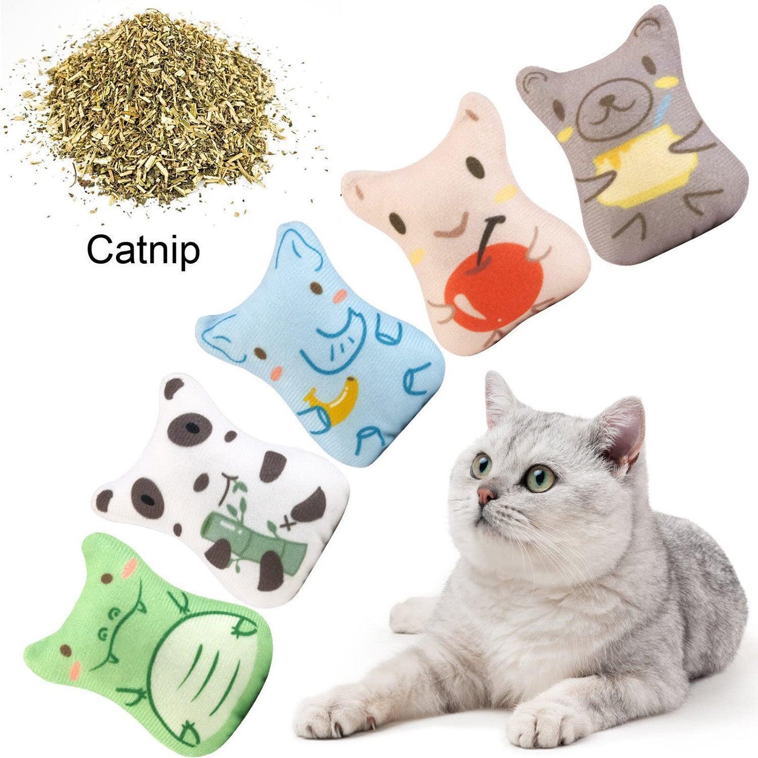 5pcs-catnip-toy-bite-resistant-chew-toys-for-cat-italkpet-15.jpg