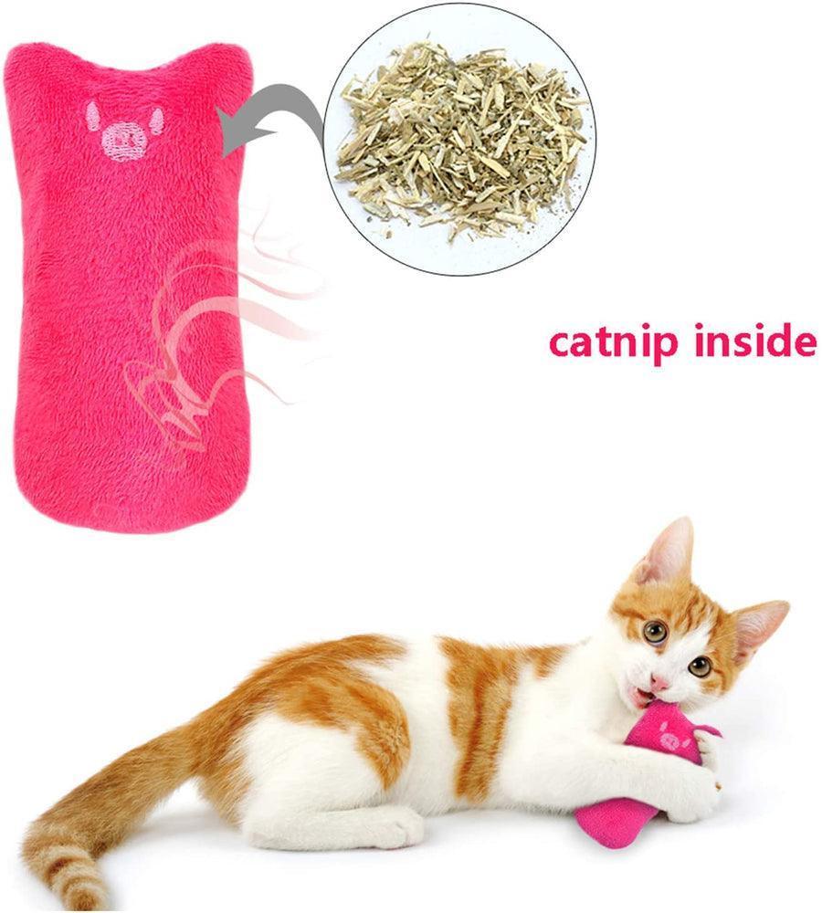 5pcs-catnip-toy-bite-resistant-chew-toys-for-cat-italkpet-9.jpg