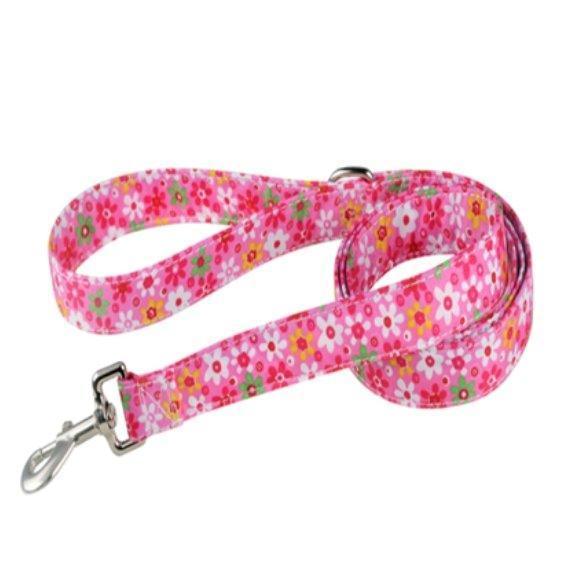 Premium Adjustable Dog Collar with Matching Leash