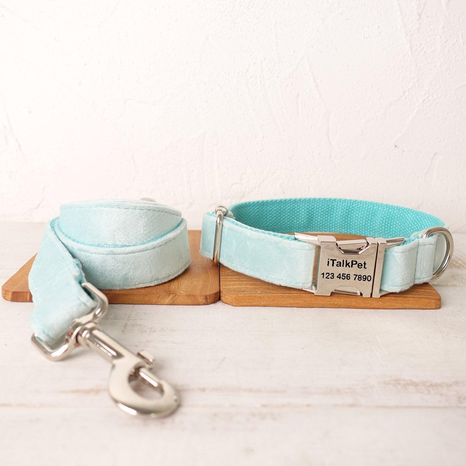 Classic Premium Dog Collar and Leash Set Selection