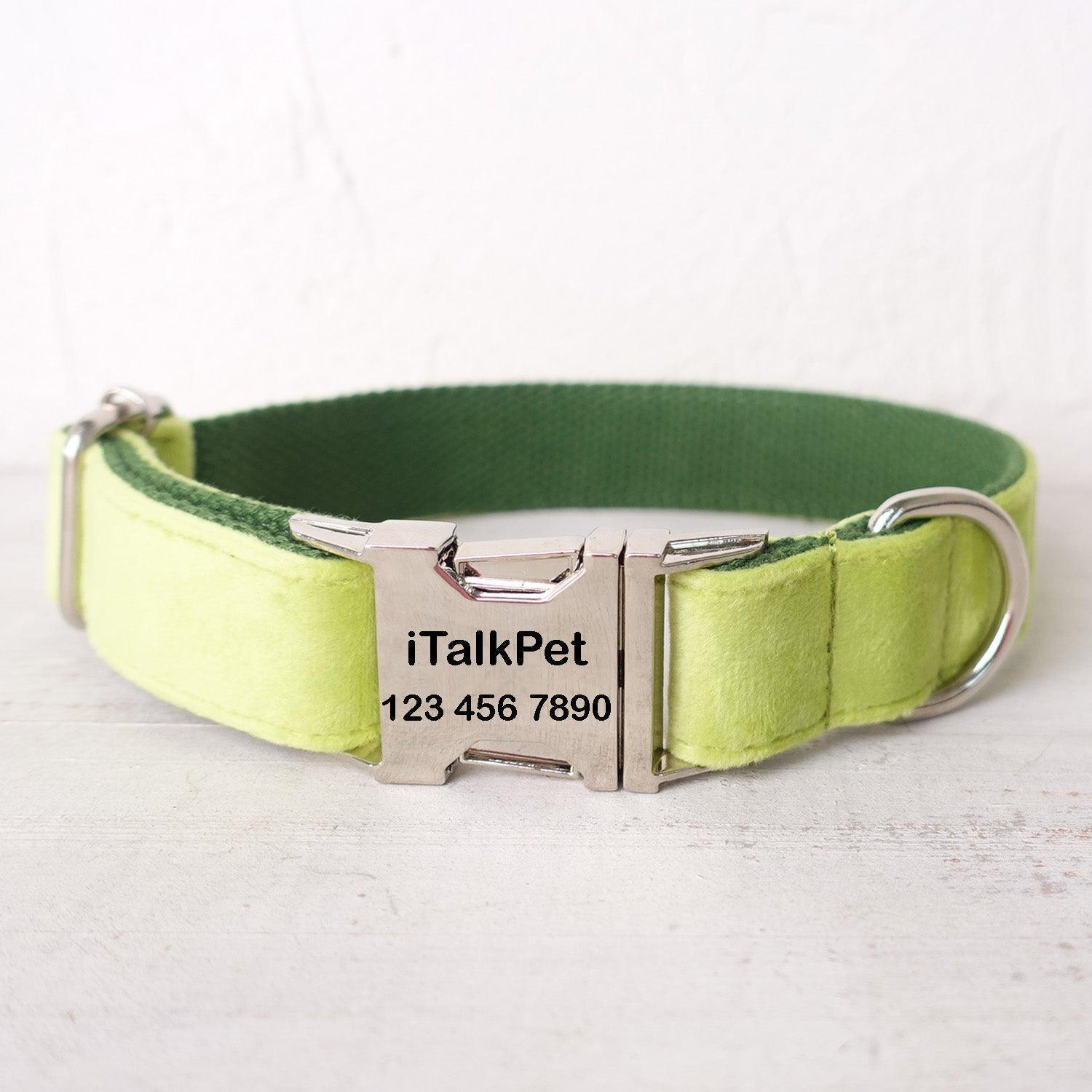 avocado-personalized-dog-collar-set-italkpet-1.jpg
