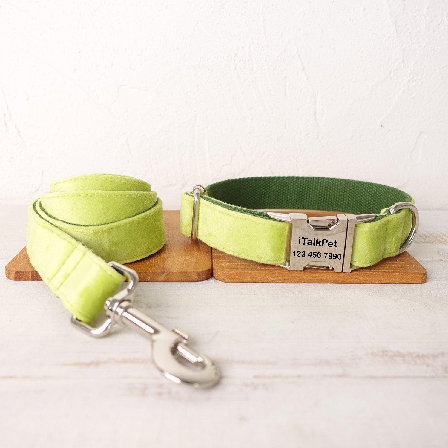 avocado-personalized-dog-collar-set-italkpet-2.jpg