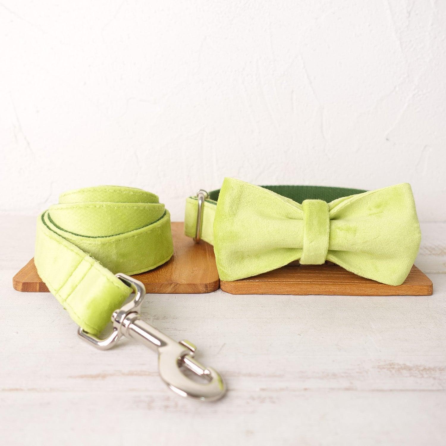 Luxury Dog Collar and Leash Set Series