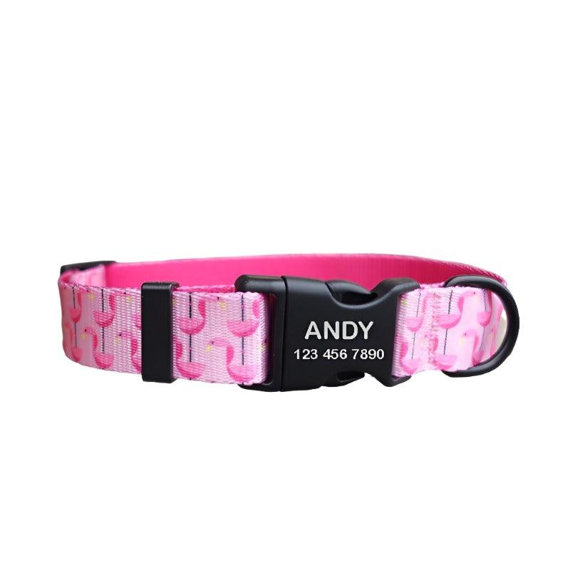 Elegant Personalized Dog Collar Set