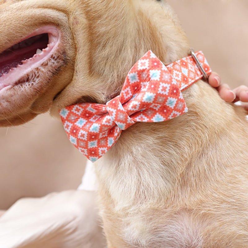 Premium Dog Collar and Leash Set Bundle