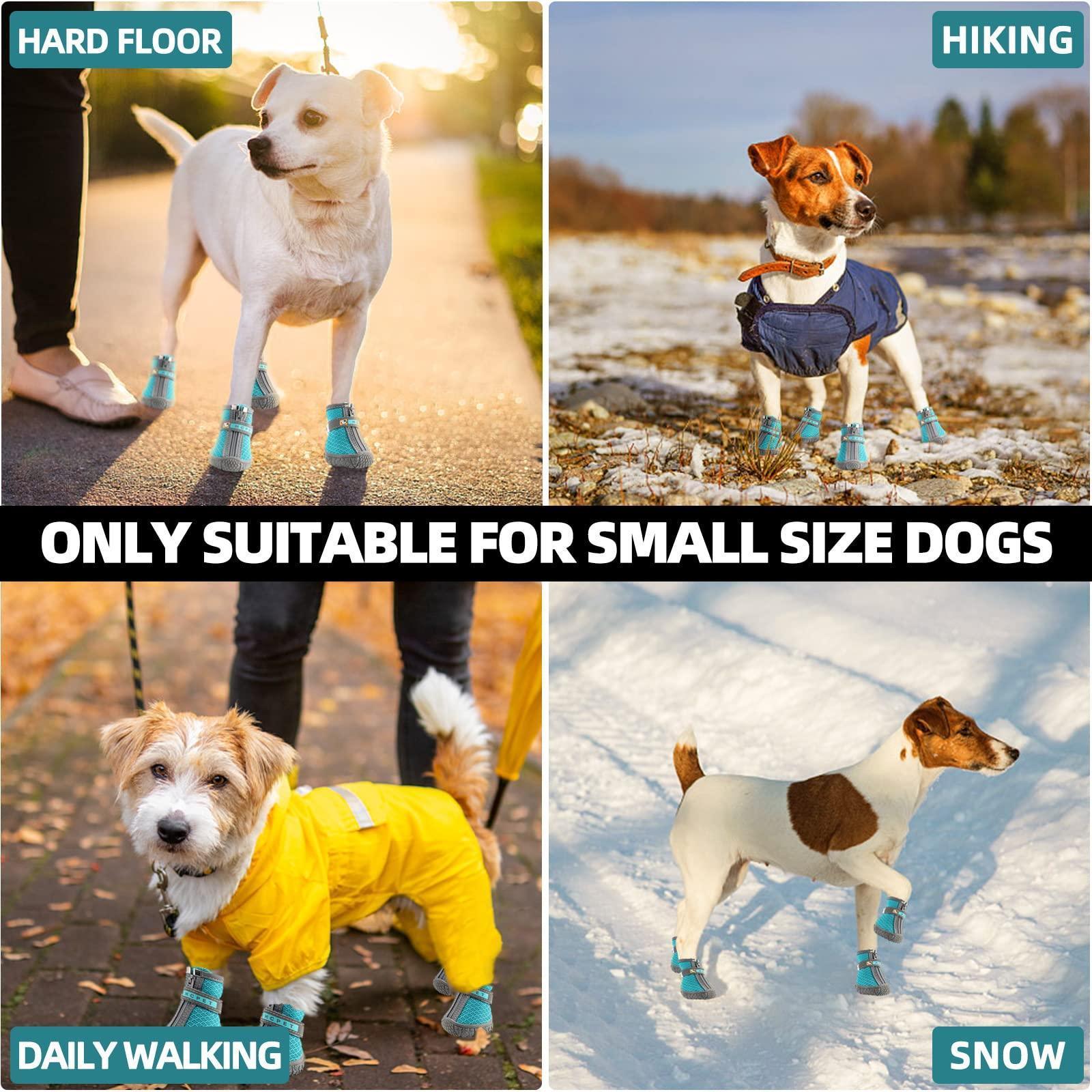 Premium Puppy Walking Shoes