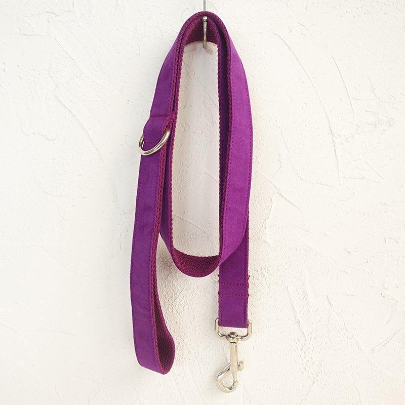 Superior Dog Collar and Leash Set