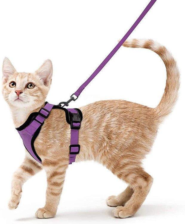 cat-harness-and-leash-set-soft-adjustable-vest-harnesses-for-cat-italkpet-14.jpg