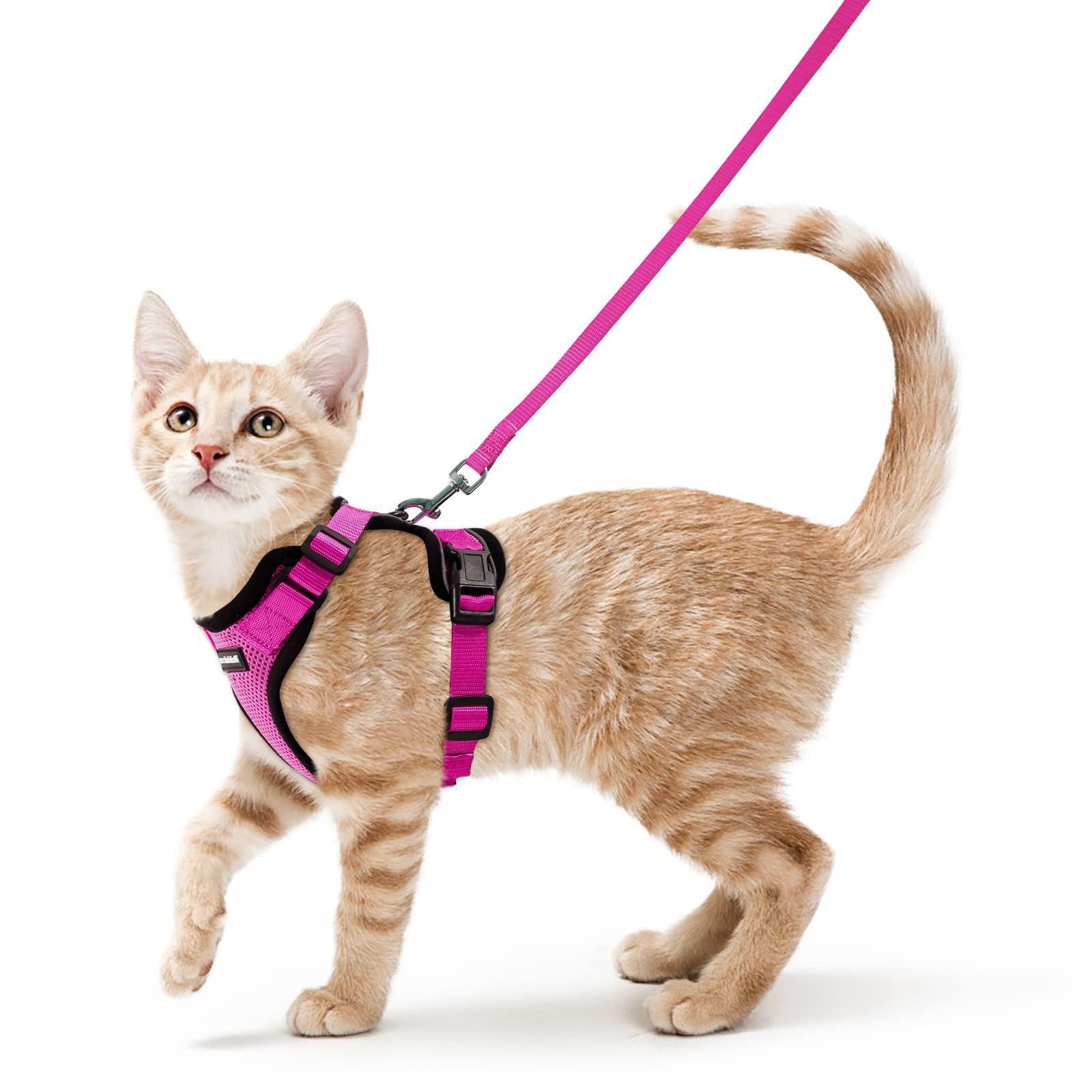 cat-harness-and-leash-set-soft-adjustable-vest-harnesses-for-cat-italkpet-15.jpg