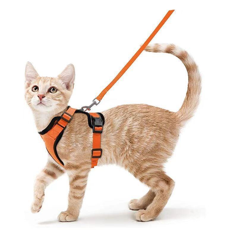 cat-harness-and-leash-set-soft-adjustable-vest-harnesses-for-cat-italkpet-16.jpg