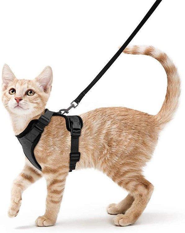 cat-harness-and-leash-set-soft-adjustable-vest-harnesses-for-cat-italkpet-2.jpg