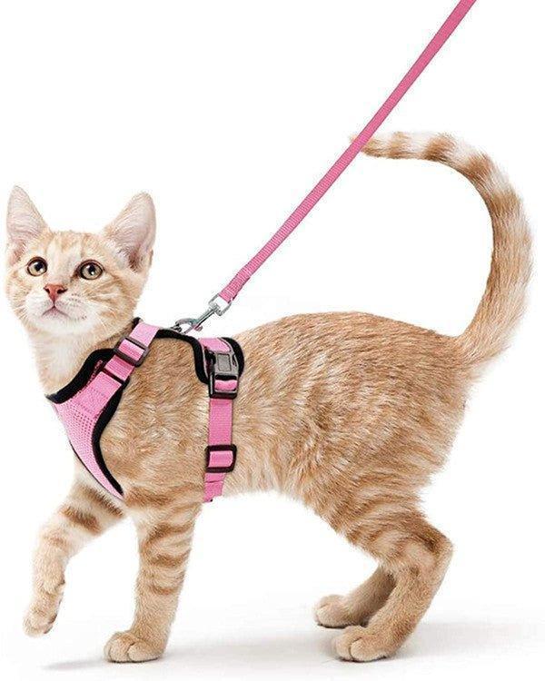 cat-harness-and-leash-set-soft-adjustable-vest-harnesses-for-cat-italkpet-8.jpg