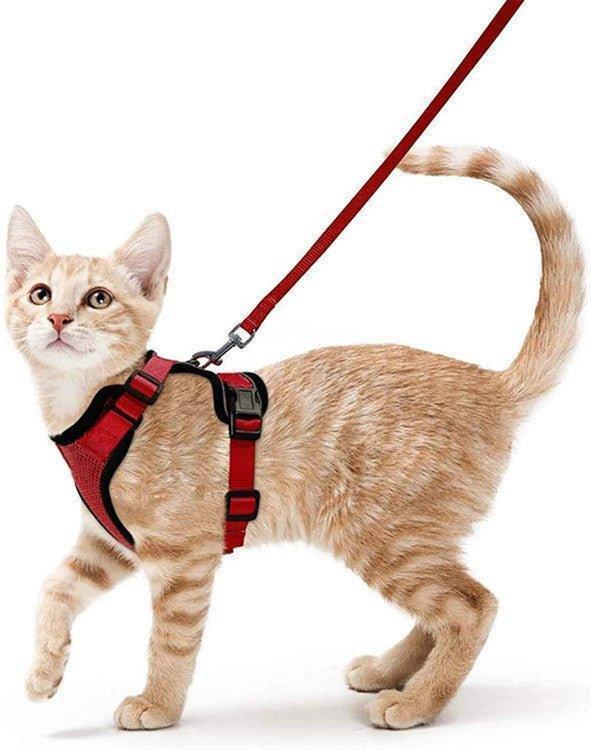 cat-harness-and-leash-set-soft-adjustable-vest-harnesses-for-cat-italkpet-9.jpg