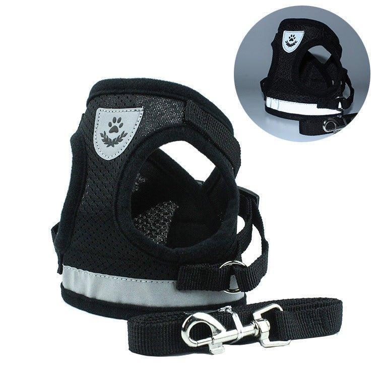 cat-harness-and-puppy-harness-with-leash-set-italkpet-1.jpg