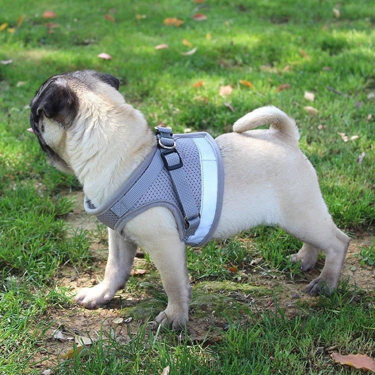 Premium Pet Harness and Leash Set
