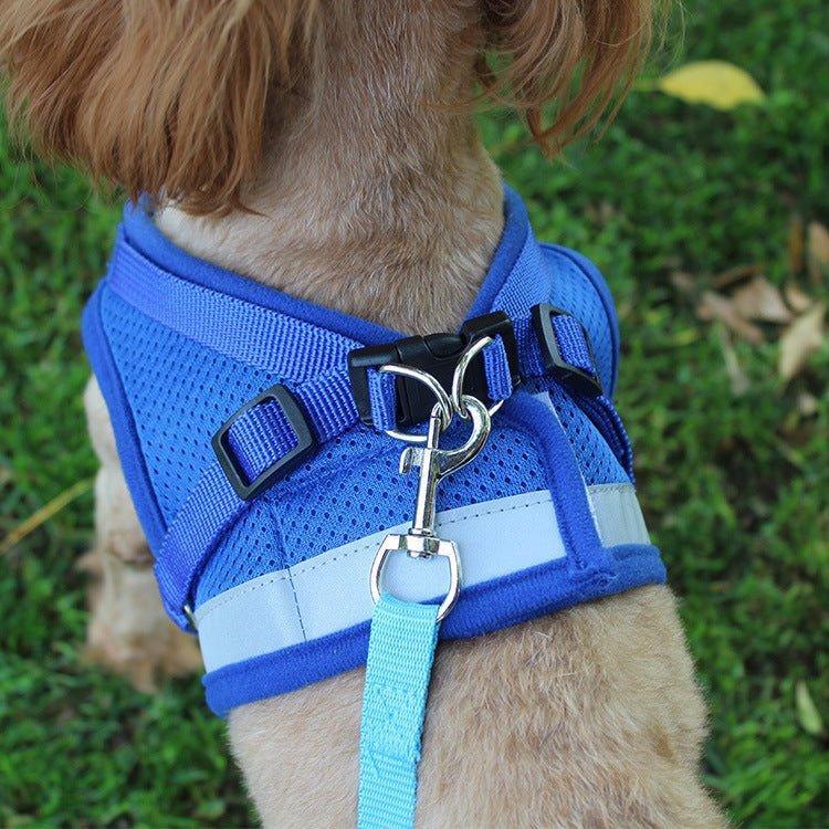 cat-harness-and-puppy-harness-with-leash-set-italkpet-9.jpg
