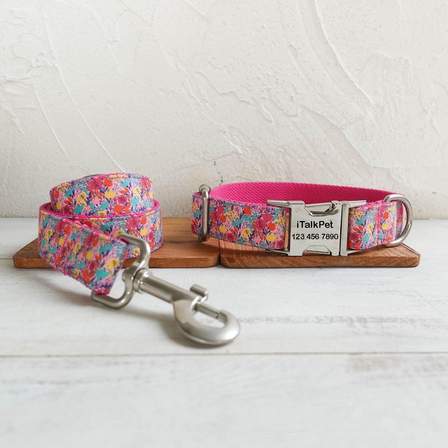 Modern Premium Dog Collar and Leash Set Range