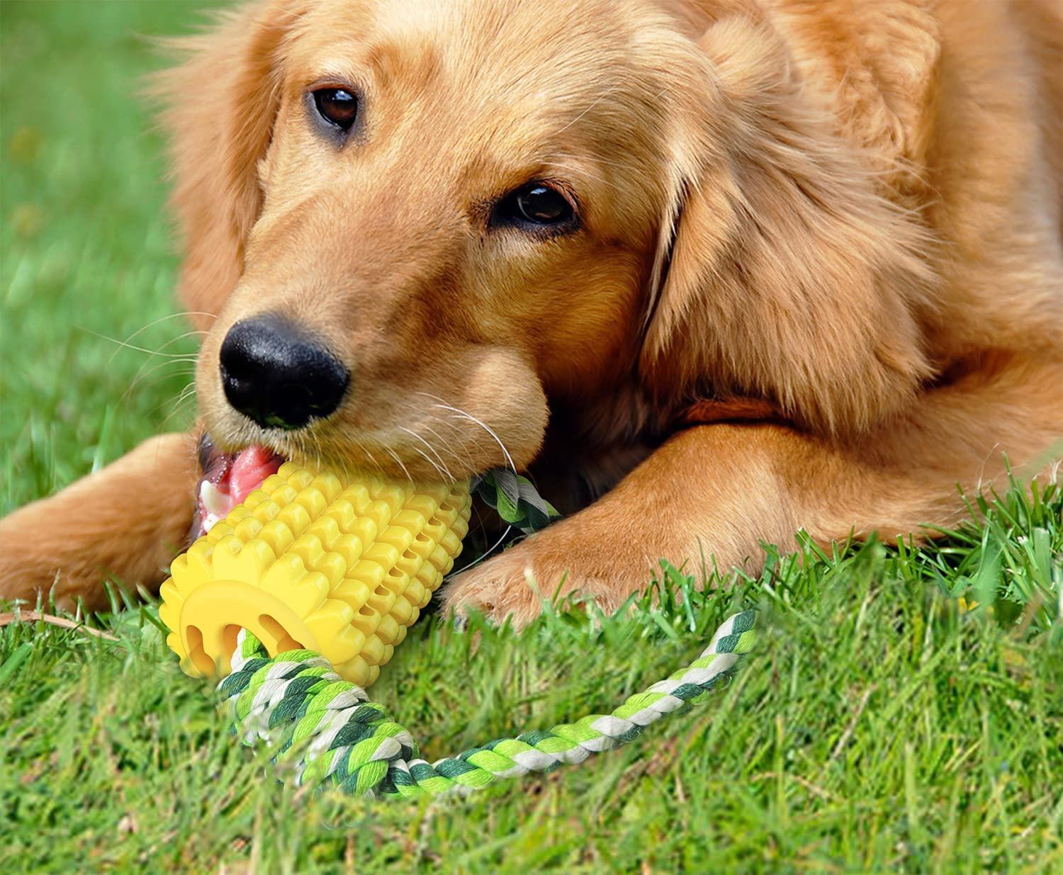 corn-squeaky-dog-chew-toys-for-aggressive-chewers-italkpet-10.jpg