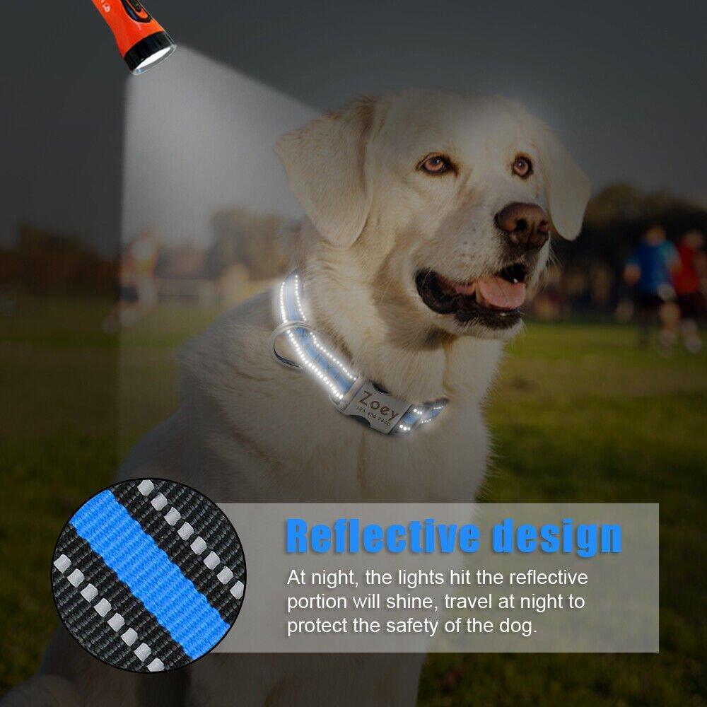 Classic Reflective Dog Collar