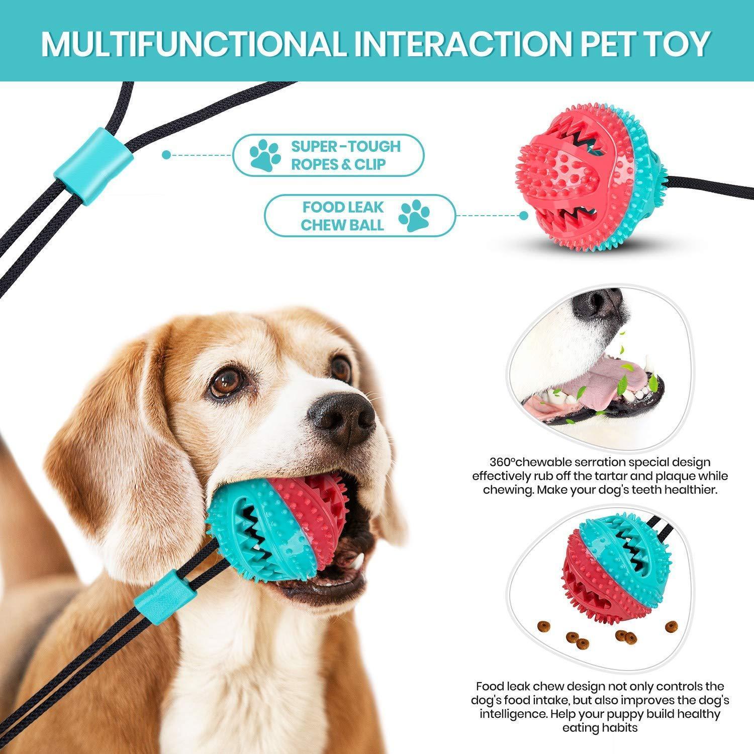 dog-chew-suction-cup-tug-of-war-toy-italkpet-3.jpg