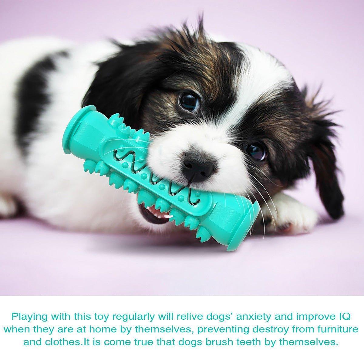 dog-chew-toys-for-aggressive-chewers-durable-dog-toys-with-brush-italkpet-8.jpg