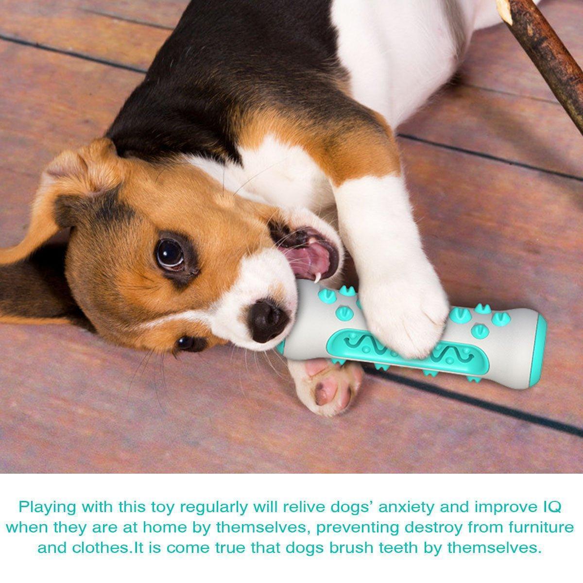dog-chew-toys-for-aggressive-toothbrush-dog-teeth-cleaning-toy-italkpet-10.jpg