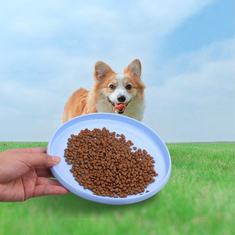 dog-flyer-pet-rubber-flying-disc-dog-frisbee-toy-italkpet-4.jpg