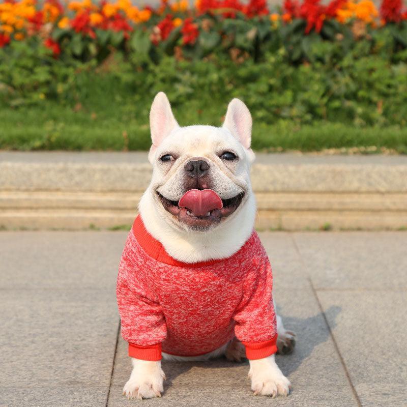 dog-sweater-soft-thickening-warm-pup-dogs-shirt-winter-puppy-sweater-italkpet-5.jpg