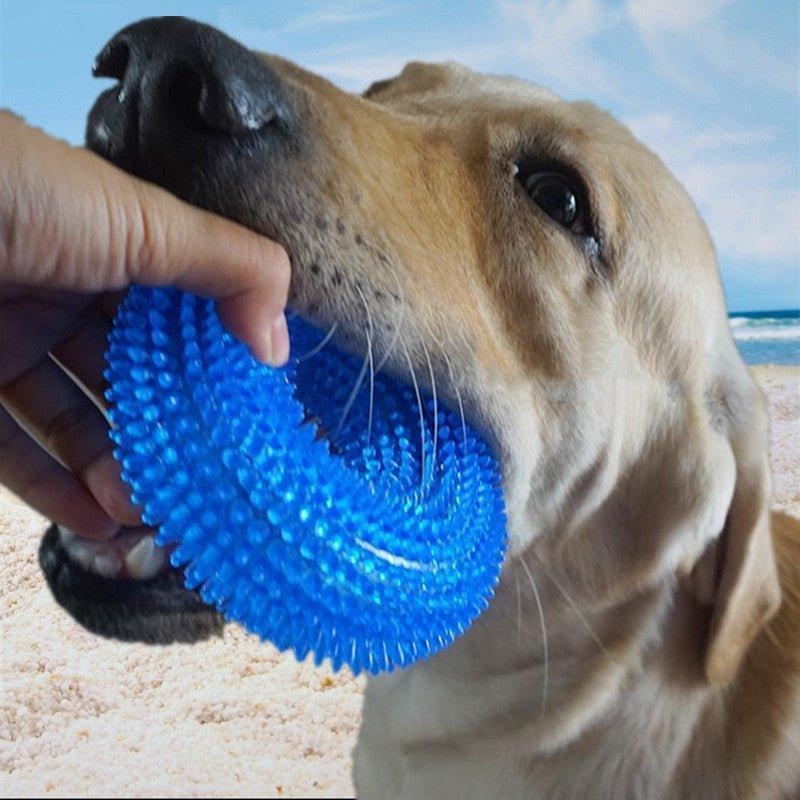 durable-dog-squeaky-chew-toys-teething-ring-interactive-training-playing-pet-toy-italkpet-1.jpg
