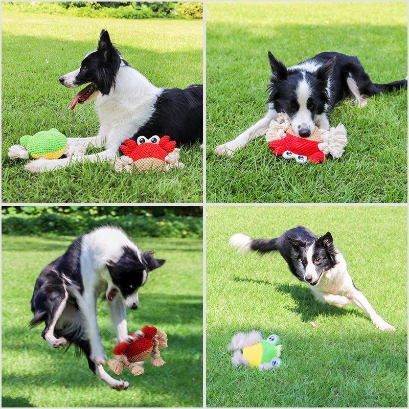 Premium Interactive Dog Chew Toys