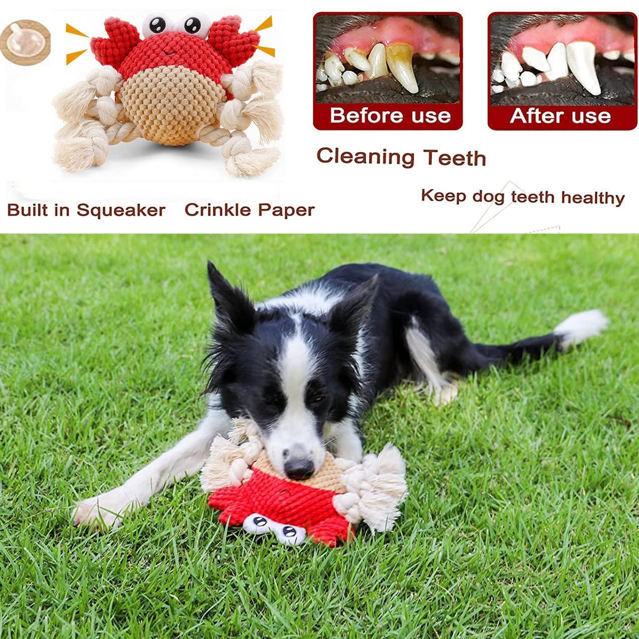 durable-plush-dog-squeaky-chew-toys-with-soft-italkpet-9.jpg