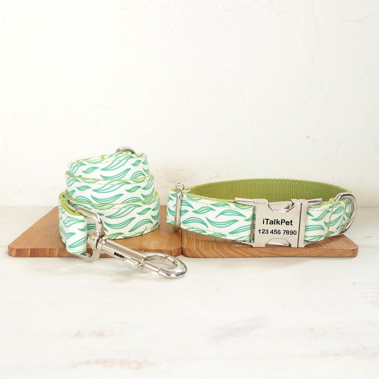 Premium Premium Dog Collar and Leash Set Kit