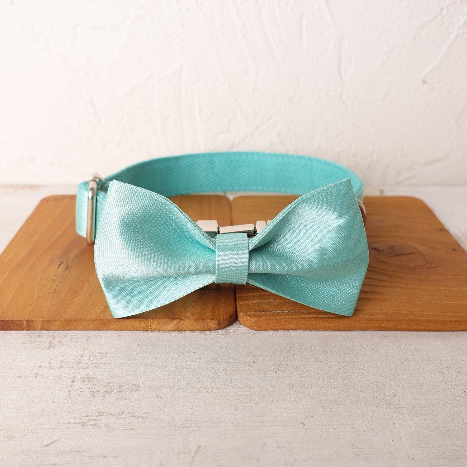 Modern Premium Dog Collar and Leash Set Design