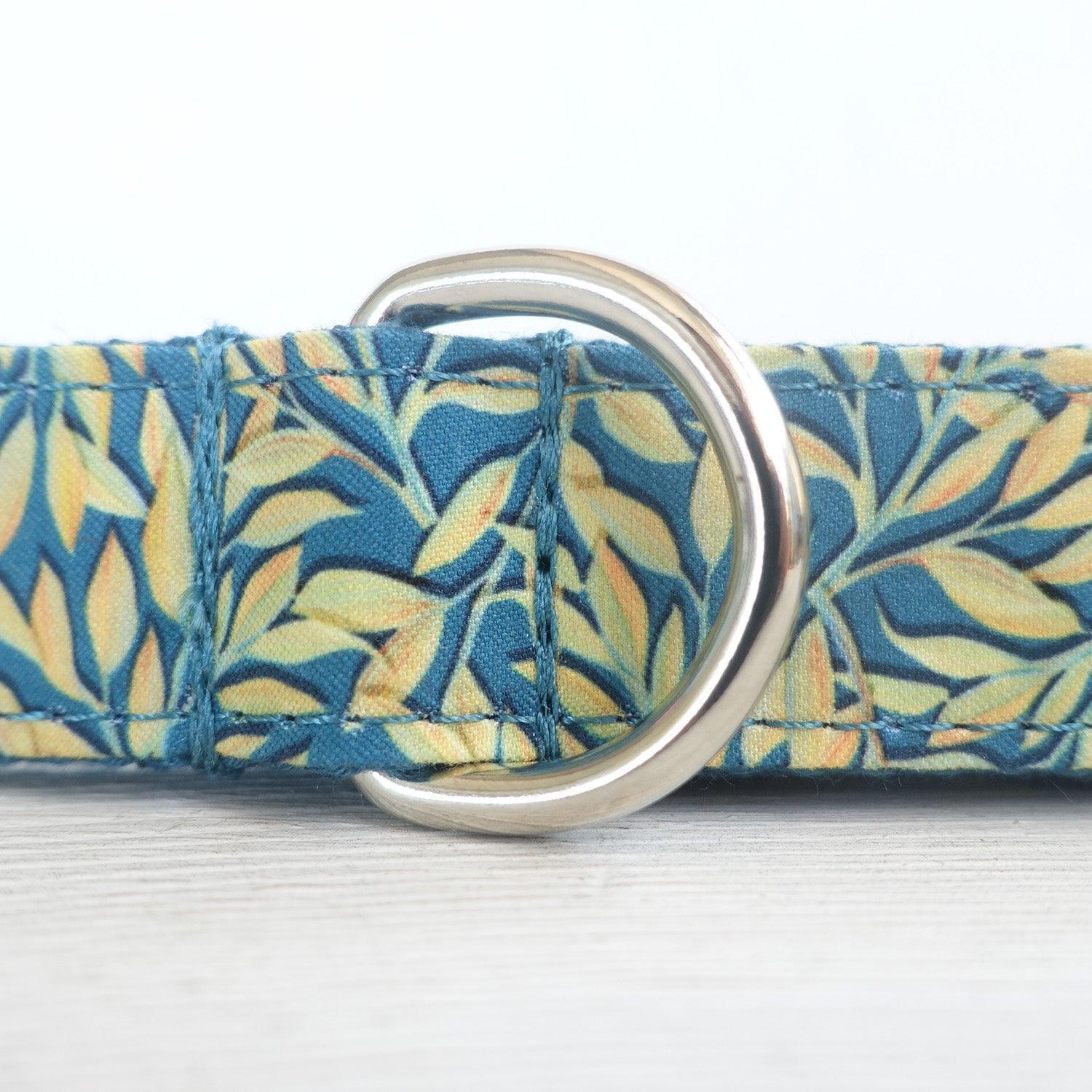 Premium Dog Collar and Accessory Set