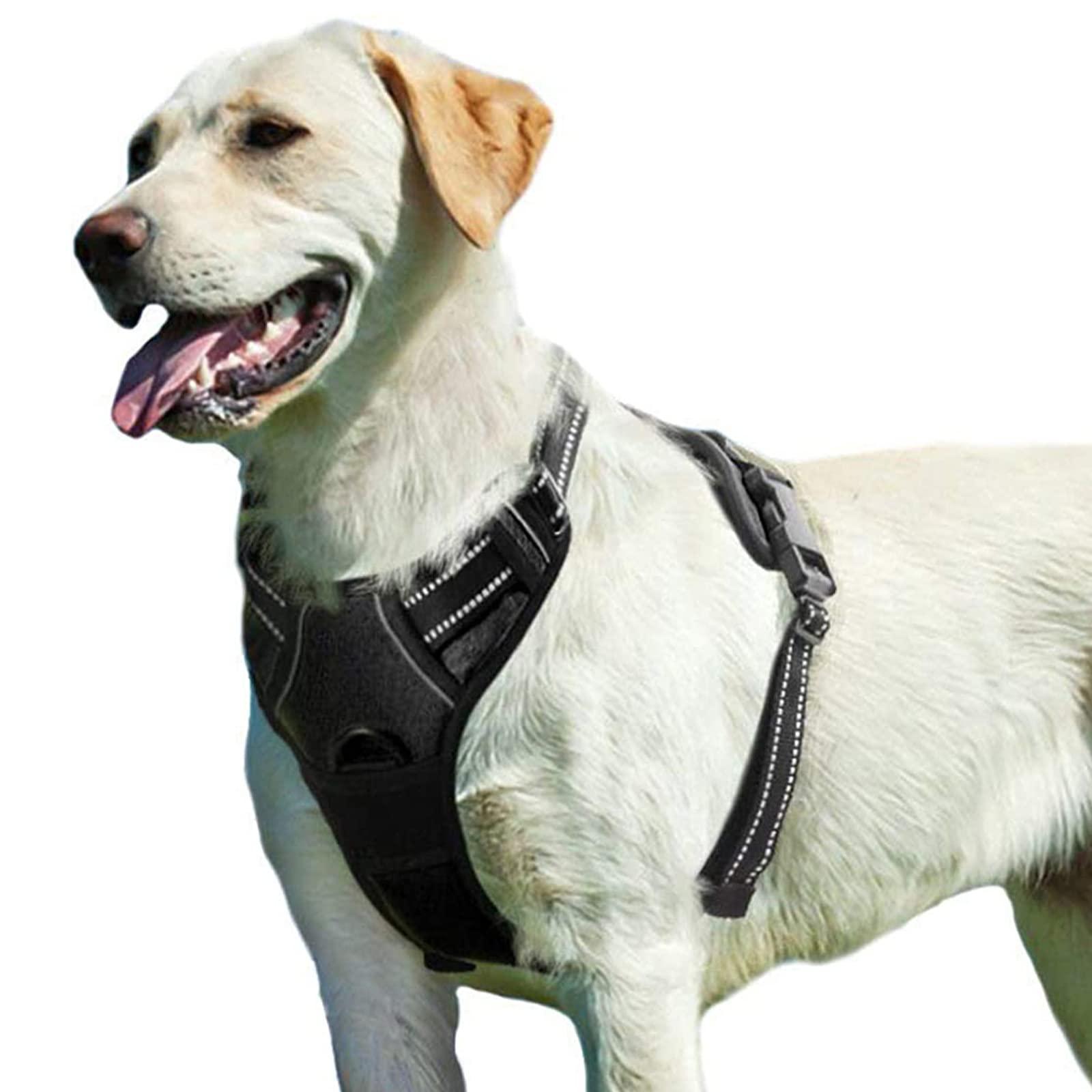 no-pull-pet-dog-harness-with-2-clips-adjustable-soft-padded-dog-vest-italkpet-16.jpg