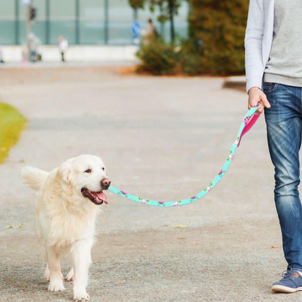 nylon-printed-mesh-padded-pet-puppy-walking-leash-italkpet-11.jpg
