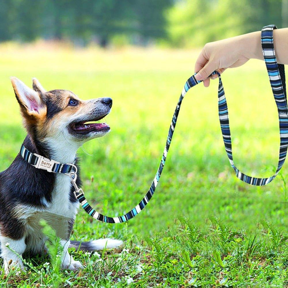 Premium Dog Walking Leash