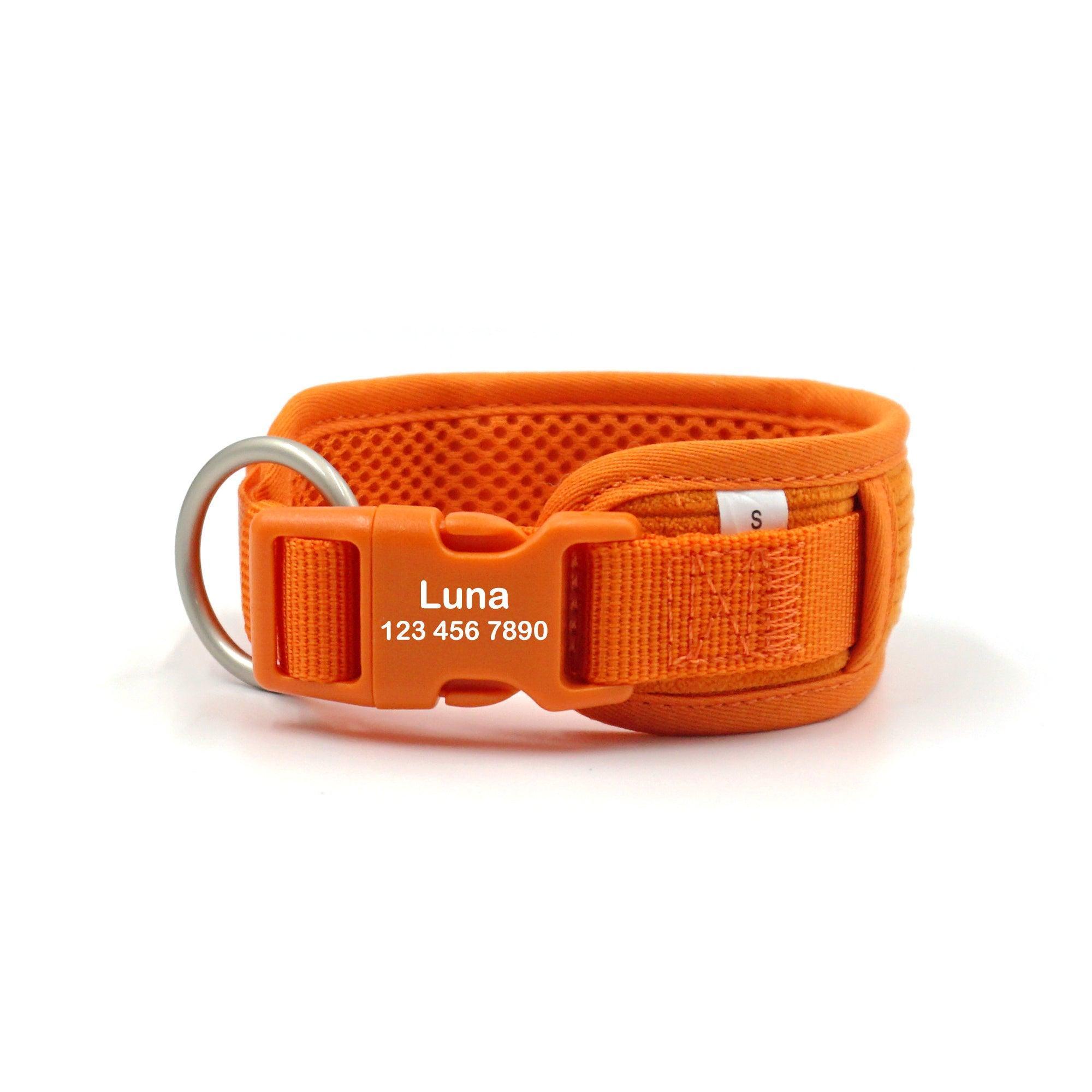 orange-striped-solid-personalized-dog-collar-italkpet-1.jpg