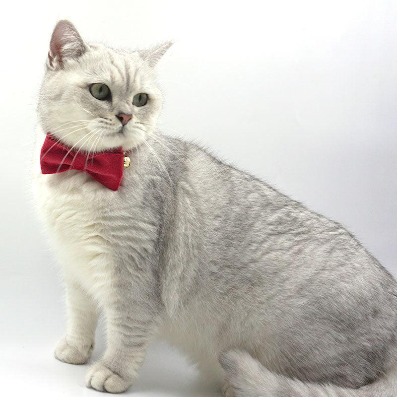 personalized-cat-velvet-collar-with-bell-and-bow-tie-italkpet-12.jpg