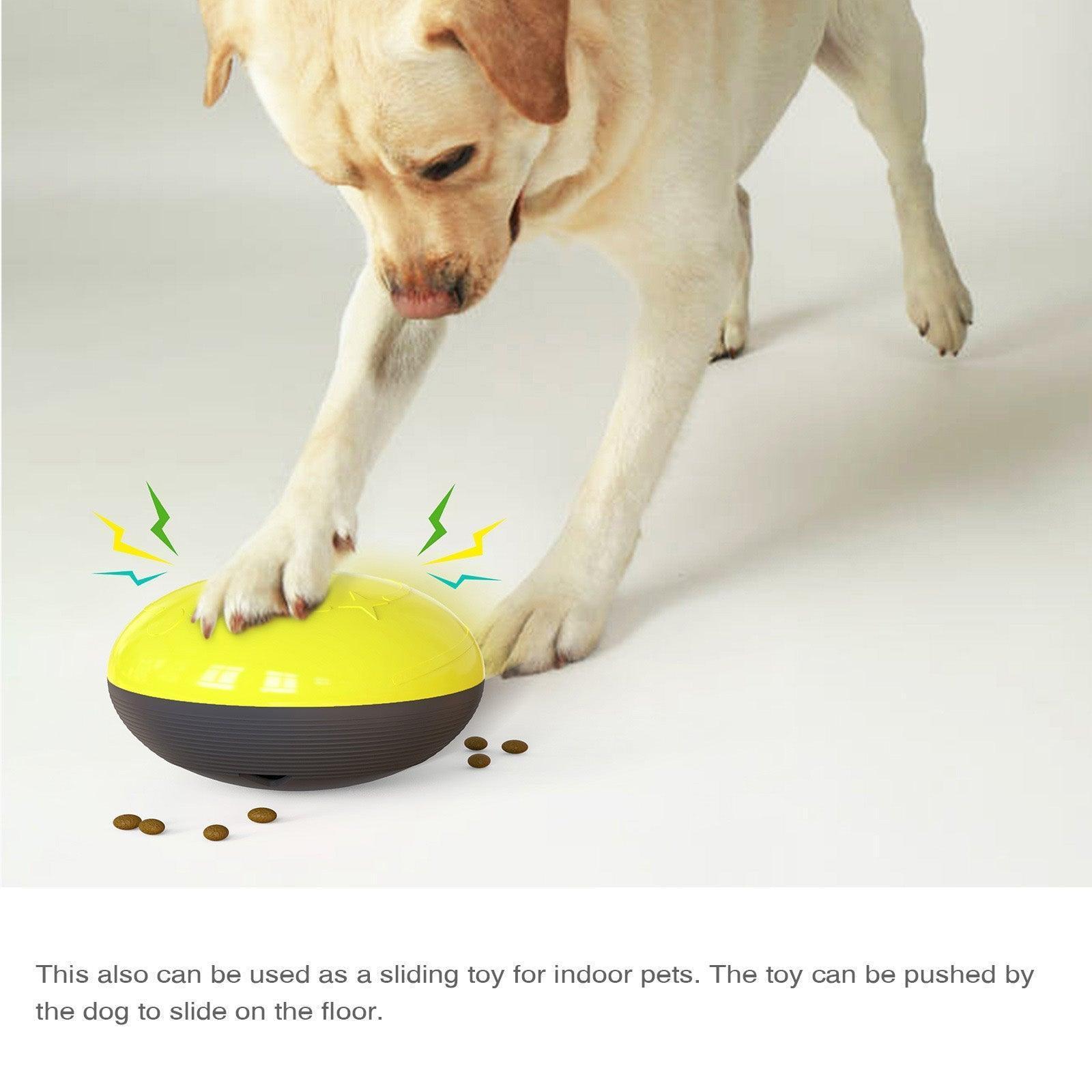 pet-sliding-toys-durable-interactive-handout-food-puzzles-italkpet-6.jpg