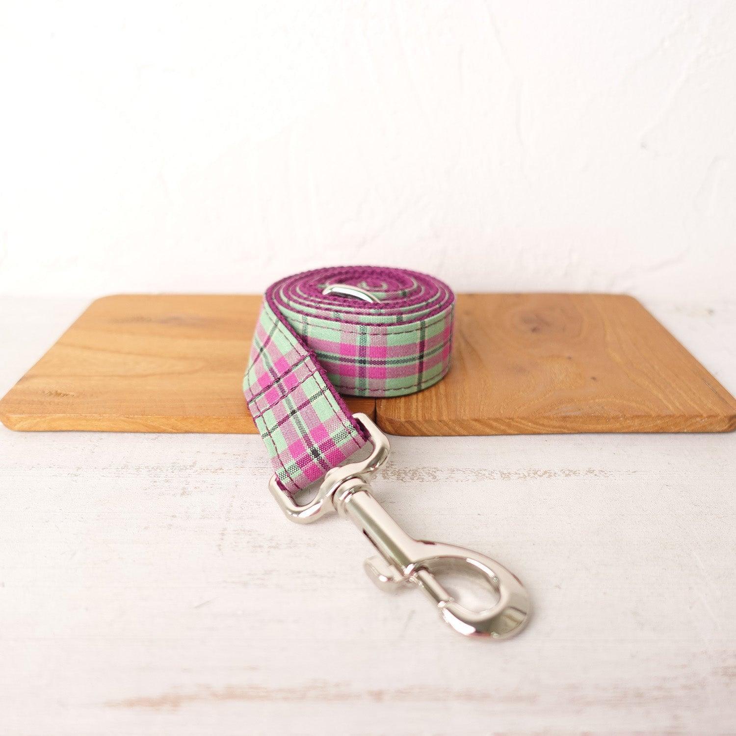 Premium Customizable Dog Collar Set