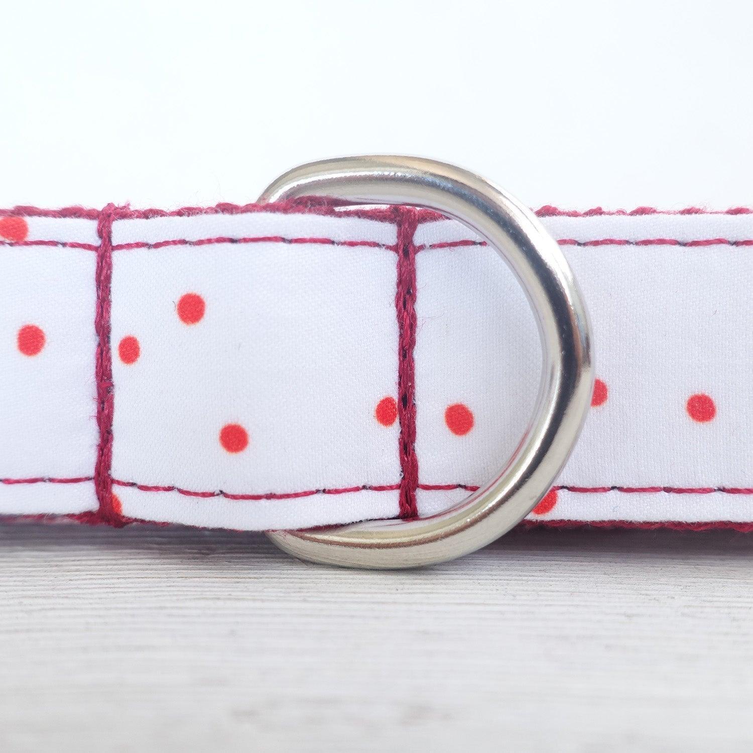 Classic Premium Dog Collar and Leash Set Edition