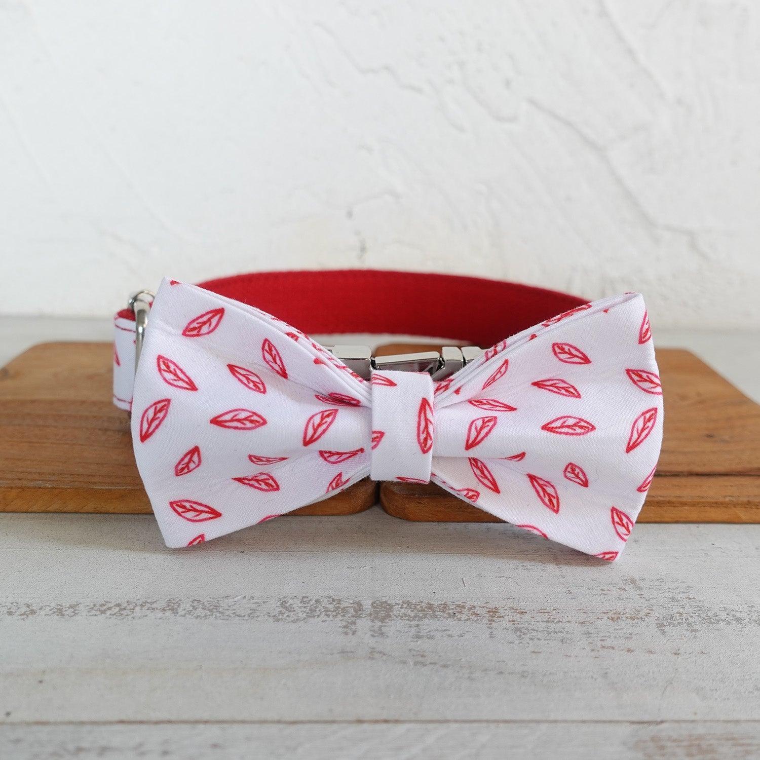 red-leaf-white-personalized-dog-collar-set-italkpet-4.jpg