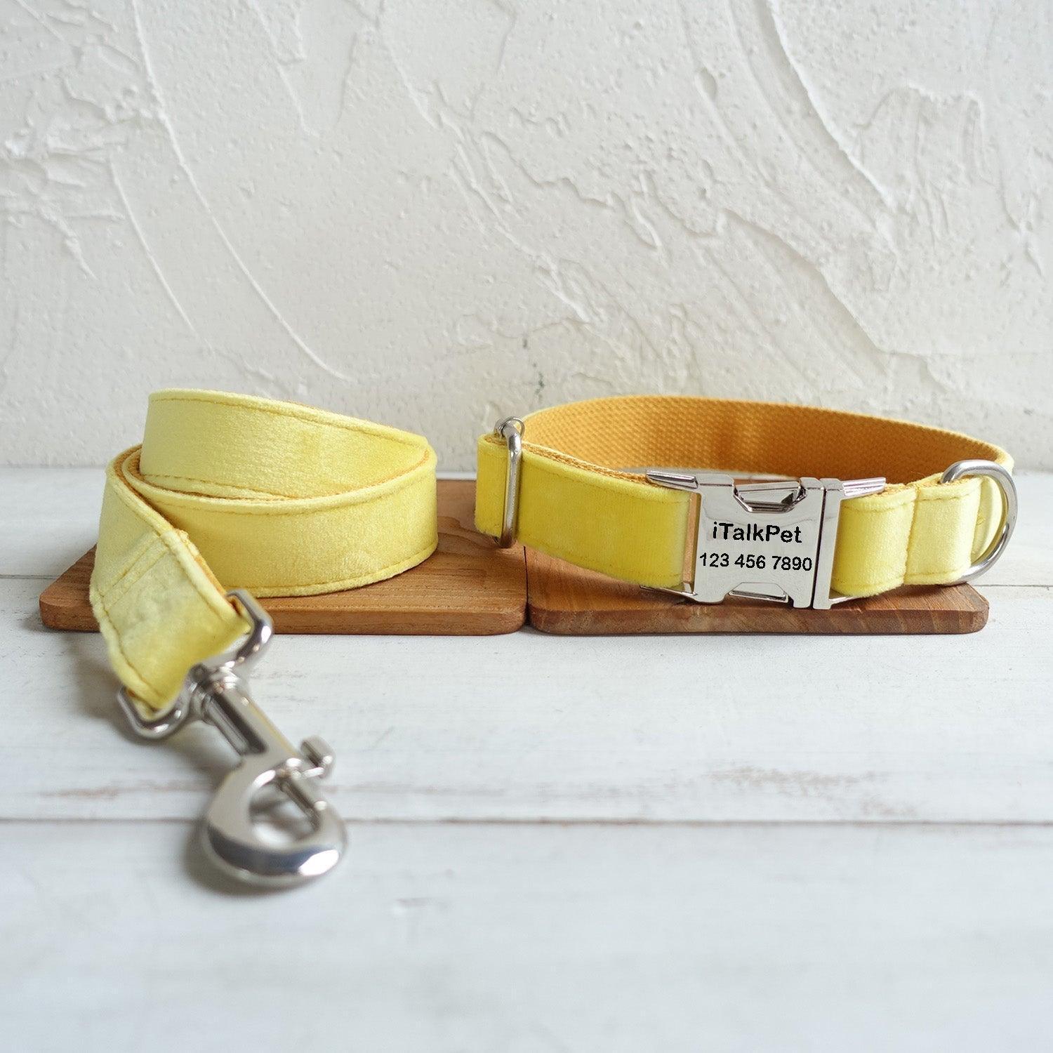 Elegant Premium Dog Collar and Leash Set Range