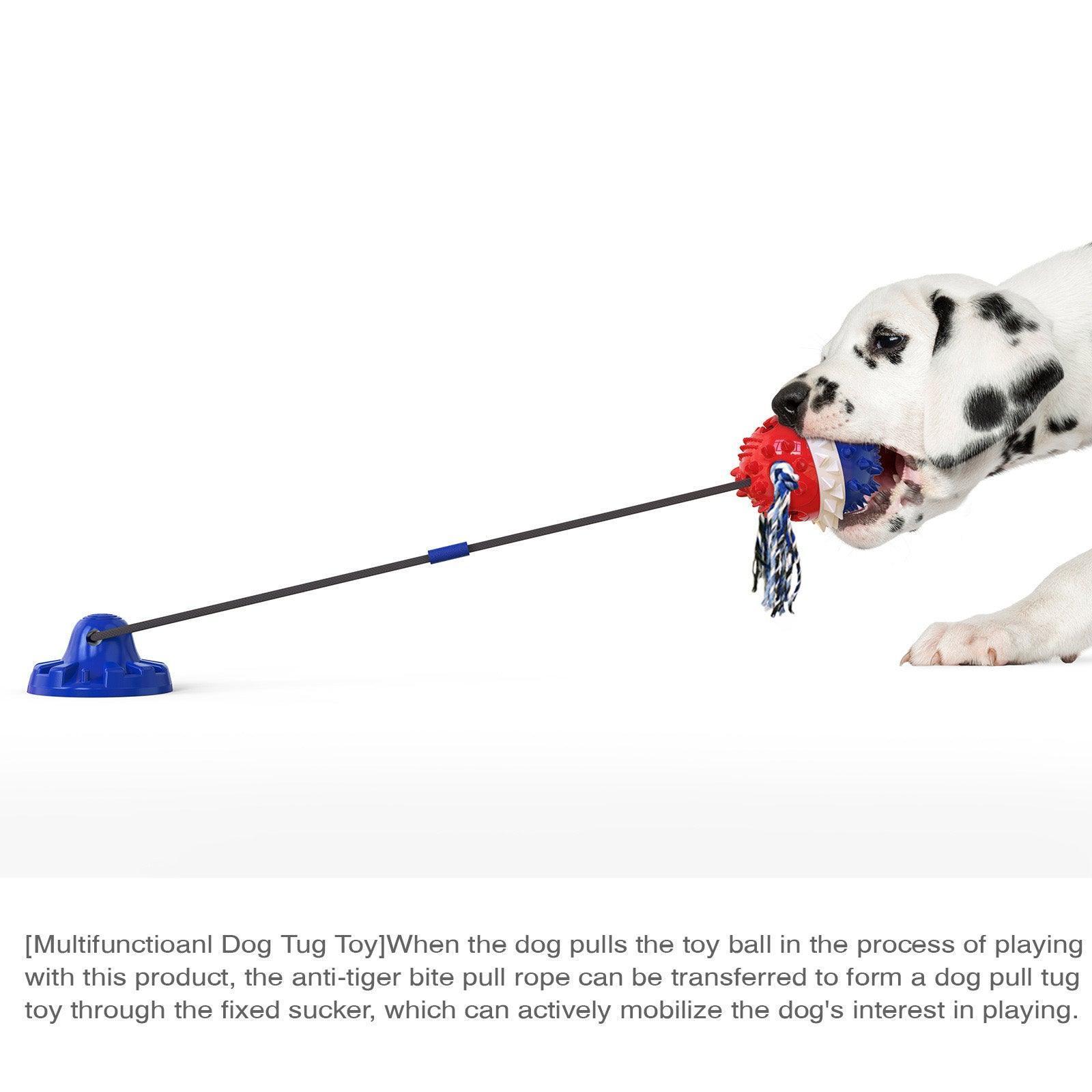 suction-cup-dog-toy-interactive-dog-chew-toys-italkpet-10.jpg