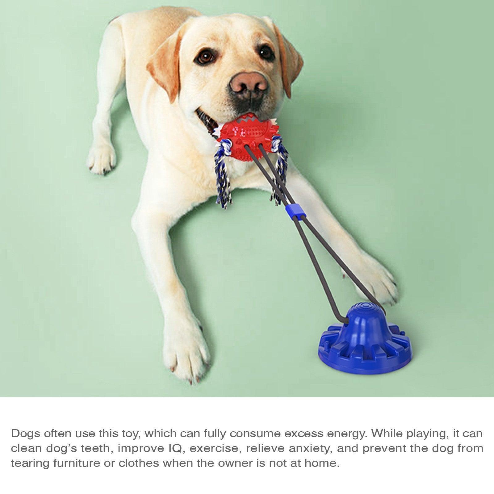 suction-cup-dog-toy-interactive-dog-chew-toys-italkpet-4.jpg