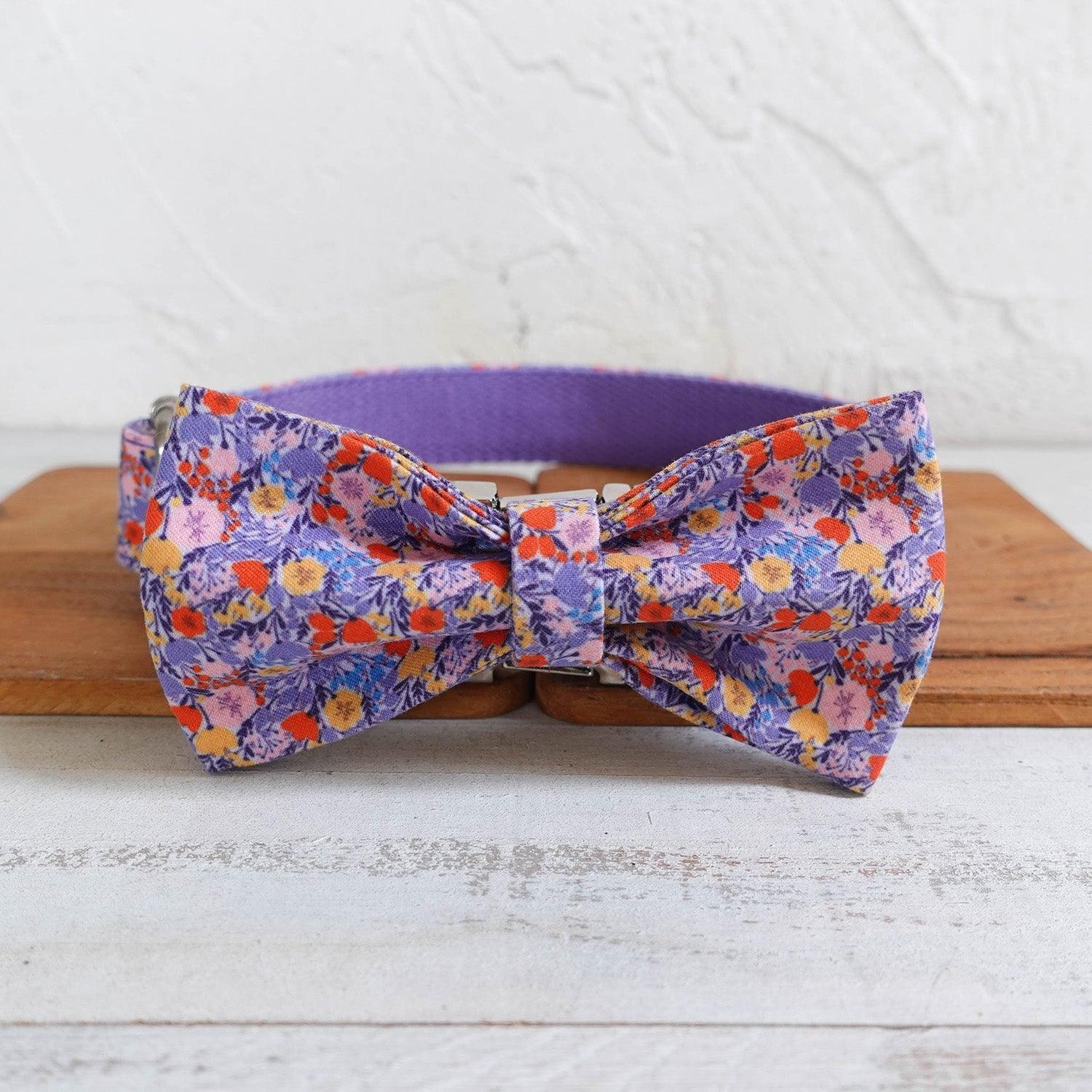 Classic Dog Collar and Accessory Set