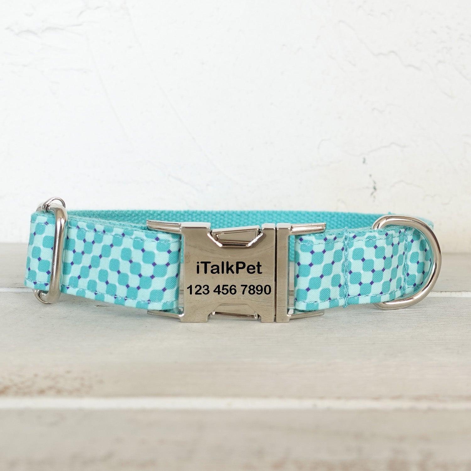 Modern Personalized Dog Collar Set