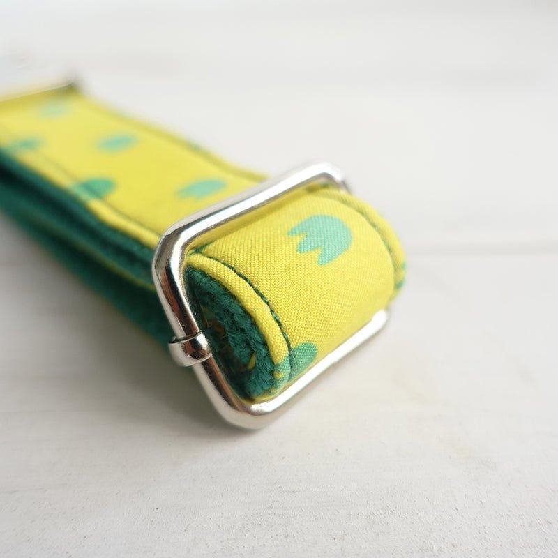 Premium Dog Collar and Leash Set Solution